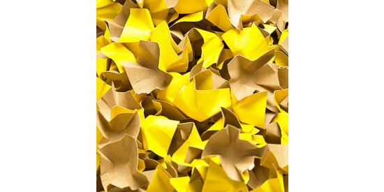 Filling and cushioning chips