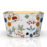 Bowls fruit mix | 250 g | 111x77x58 mm