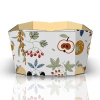 Fruit Mix Bowls | 500 g | 157 x 92 x 58 mm