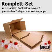 BOXXcool Faltkartons mit Wabeninlay | 237x187x190 mm | 7,5 Liter I DKN