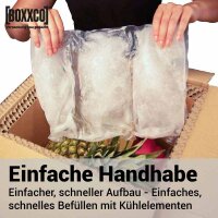 BOXXcool Faltkartons mit Wabeninlay | 307x227x230 mm | 15 Liter I DKN