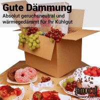 BOXXcool Faltkartons mit Wabeninlay | 307x227x230 mm | 15 Liter I DKN
