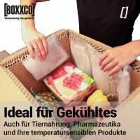 BOXXcool Faltkartons mit Wabeninlay | 387x287x290 mm | 30 Liter I DKN