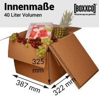 BOXXcool Faltkartons mit Wabeninlay | 387x322x325 mm | 40 Liter I DKN