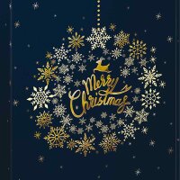 Christmas Ball presentation boxes | 2 wine/champagne...