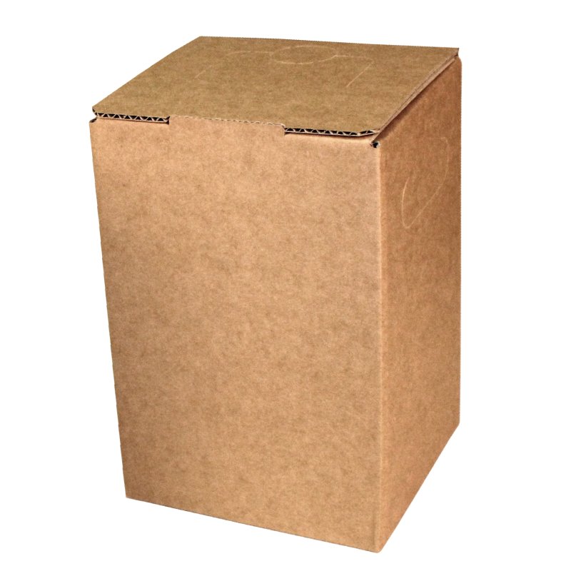 Carton Bag-in-Box according to Fefco 0713 for 10 liters,