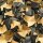 Filling and cushioning chips Decofill - 120 l carton | black