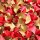 Decofill Filling and Cushioning Chips - 240 L Carton | Red