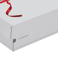 GeschenkBOXX mit Selbstklebeverschluss 241x166x94 mm