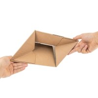 DHL small parcels automatic bottom cartons with SK strips...