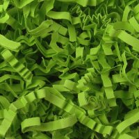 Sizzle Pak | Papierfüllmaterial Hellgrün |...