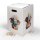 Hockolino | Design - Cardboard Stool | Birthday Elephant | 300x300x420 mm