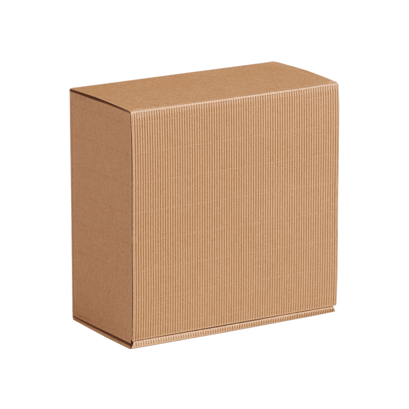 Geschenkboxen Natura I mittel I 198x190x99 mm I DKN