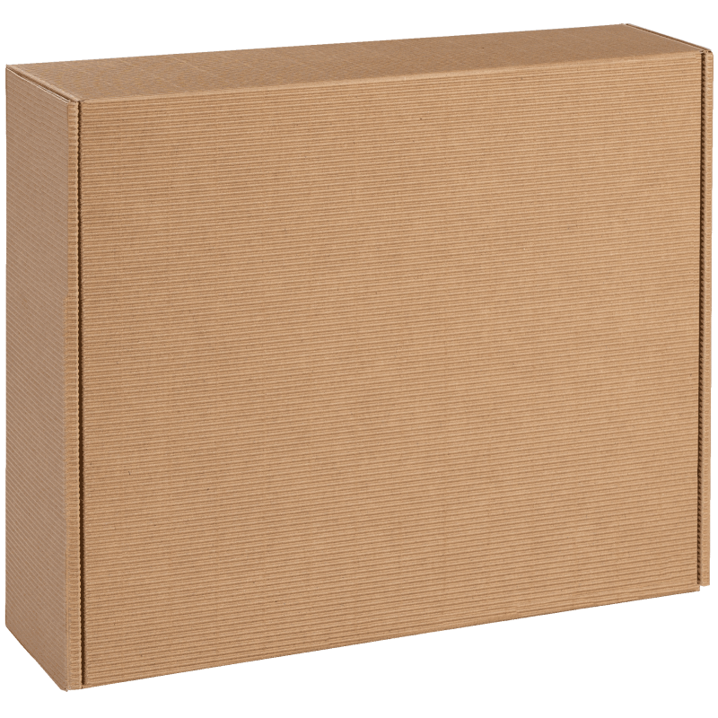 Delikatessenkarton Natura I groß I 448x374x120 mm I DKN