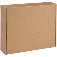 Delikatessenkarton Natura I groß I 448x374x120 mm I...