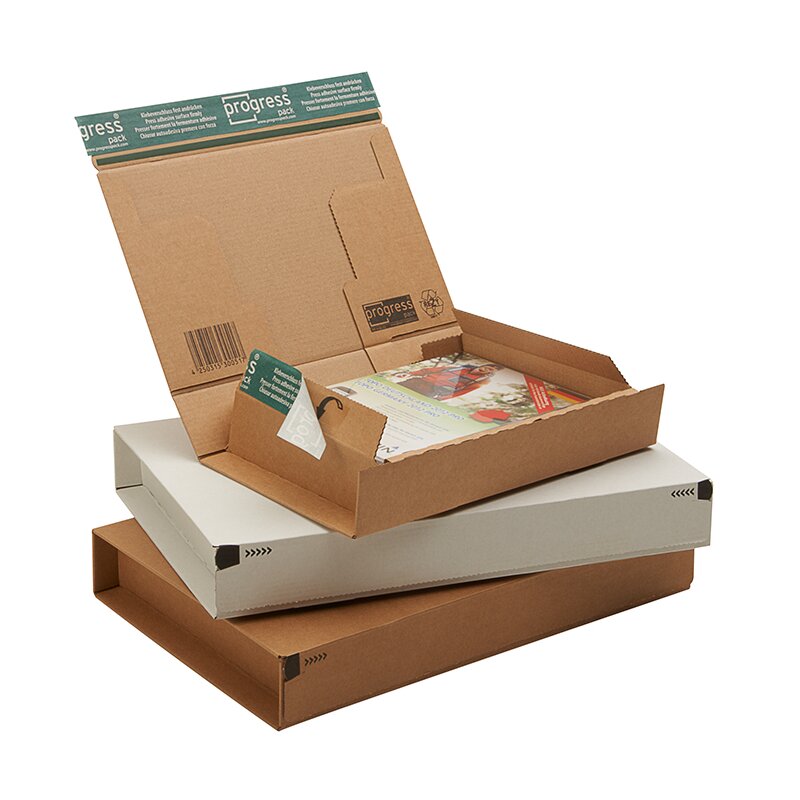 SecureBOXX maxi letter 215x155x43 mm (DIN A5+) white