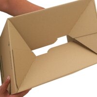 Fix-Aufrichtekarton 390x290x100-240 mm (1/8 Euro)