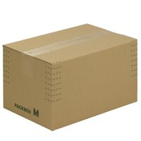 Fix-Aufrichtekarton 390x290x100-240 mm (1/8 Euro)