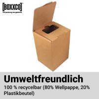 Cartons Bag-in-Box 3 litres