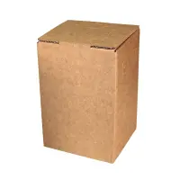 Kartons Bag-in-Box 3 Liter I DKN