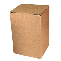 Cartons Bag-in-Box indiv. standard print 5 litres, 2c print