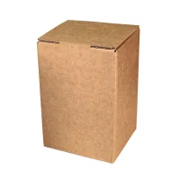 Kartons Bag-in-Box 5 Liter