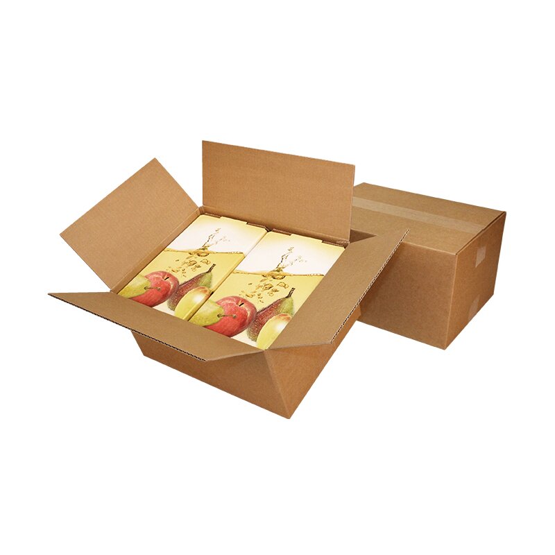 Shipping cartons for bag-in-box